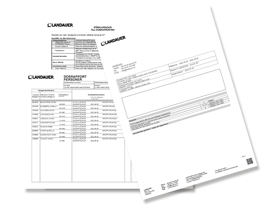 Ladda ner din kontrollrapport PDF-format